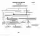 Fig. 05 - Process for the Preparation of Biodiesel from Vegetable Oils Containing High FFA