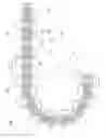 Fig. 02 - Cutting chain