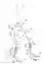 Fig. 02 - Crutch