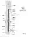Fig. 08 - Apparatus and method for recovering fluids from a well and/or injecting fluids into a well