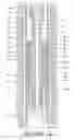 Fig. 02 - Slip segments for downhole tool