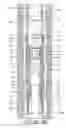 Fig. 06 - Stage cementing tool