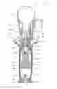 Fig. 01 - AUXILIARY HANDLE