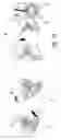 Fig. 09 - Method and assembly for guiding a dispensing line through a beverage dispenser