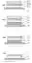 Fig. 03 - DURABLE WASHABLE LABEL HAVING A VISIBLE DIFFRACTION GRATING PATTERN