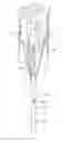 Fig. 01 - Mechanical climbing aid of the cam type
