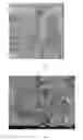 Fig. 03 - Catalyst composition for the synthesis of thin multi-walled carbon nanotube and its manufacturing method