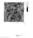 Fig. 02 - Highly accessible, nanotube electrodes for large surface area contact applications