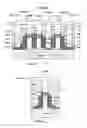 Fig. 40 - Semiconductor device and production method therefor