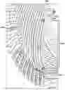 Fig. 01 - Stator bar with end arm involute-on-cone bend substantially aligned with stator core slot