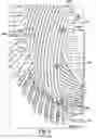 Fig. 04 - Stator bar with end arm involute-on-cone bend substantially aligned with stator core slot