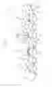 Fig. 02 - Recording Head and Image Forming Apparatus