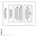 Fig. 09 - Lateral gaze angle estimation using relative eye separation