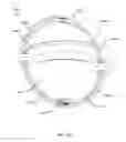 Fig. 33 - Fluidic lens with reduced optical aberration