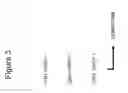 Fig. 04 - Multiple seismic signal inversion