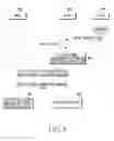 Fig. 09 - APPARATUS AND METHOD FOR MANAGING PATH BETWEEN NODES IN MOBILE COMMUNICATION SYSTEM