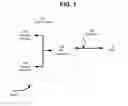 Fig. 02 - Method and System for Receiving Market Data Across Multiple Markets and Accelerating the Execution of Orders