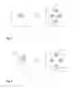 Fig. 07 - STATISTICAL OBJECT TRACKING IN COMPUTER VISION