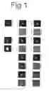 Fig. 02 - Methods for Ranking Cellular Images