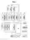 Fig. 02 - Focus adjusting apparatus and focus adjusting method