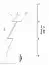 Fig. 14 - Submarine optical repeater
