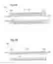 Fig. 07 - FIXING DEVICE AND IMAGE FORMING APPARATUS