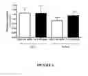 Fig. 07 - TREATMENT OF OBESITY