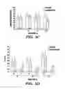 Fig. 08 - Method of Enhancing Proliferation and/or Hematopoietic Differentiation of Stem Cells
