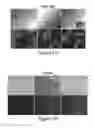 Fig. 02 - Methods of making and using a cell penetrating peptide for enhanced delivery of nucleic acids, proteins, drugs, and adenovirus to tissues and cells, and compositions and kits