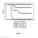Fig. 06 - Compositions and Methods Related to   Adenovirus Based Delivery of Antigens