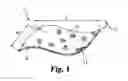 Fig. 02 - DEMINERALIZED BONE MATRIX DEVICES