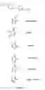 Fig. 06 - PROTEIN KINASE MODULATING COMPOUNDS AND METHODS FOR MAKING AND USING THEM