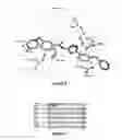 Fig. 09 - PROTEIN KINASE MODULATING COMPOUNDS AND METHODS FOR MAKING AND USING THEM