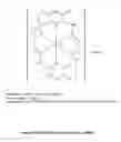Fig. 06 - Metal complexes with anticancer activity