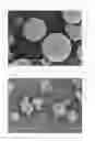 Fig. 02 - ELECTROCONDUCTIVE PRESSURE-SENSITIVE ADHESIVE TAPE
