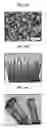 Fig. 06 - Negative electrode including group 14 metal/metalloid nanotubes, lithium battery including the negative electrode, and method of manufacturing the negative electrode