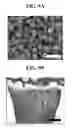 Fig. 07 - Negative electrode including group 14 metal/metalloid nanotubes, lithium battery including the negative electrode, and method of manufacturing the negative electrode