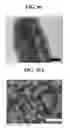 Fig. 08 - Negative electrode including group 14 metal/metalloid nanotubes, lithium battery including the negative electrode, and method of manufacturing the negative electrode