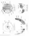 Fig. 02 - Toilet training device