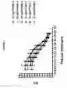 Fig. 02 - METHODS FOR DETECTING NEUTRALIZING ANTIBODIES FOR BONE MORPHOGENETIC PROTEINS