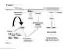 Fig. 02 - Compositions for Identifying Novel Compositions for the Treatment of Disease and Methods of Using Same