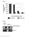 Fig. 06 - Compositions for Identifying Novel Compositions for the Treatment of Disease and Methods of Using Same