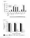 Fig. 07 - Compositions for Identifying Novel Compositions for the Treatment of Disease and Methods of Using Same