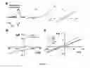 Fig. 08 - METHOD OF IDENTIFYING AGENTS WHICH MODULATE THE ACTIVITY OF CALCIUM-ACTIVATED CHLORIDE CHANNEL