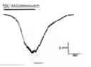 Fig. 17 - METHOD OF IDENTIFYING AGENTS WHICH MODULATE THE ACTIVITY OF CALCIUM-ACTIVATED CHLORIDE CHANNEL