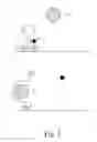 Fig. 06 - Nucleic Acid Ligand Diagnostic Biochip