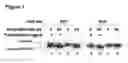 Fig. 02 - Methods for the delivery of toxins or enzymatically active portions thereof