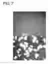 Fig. 09 - IMMOBILIZED ENZYMES AND USES THEREOF