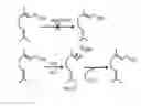 Fig. 09 - Geraniol synthase, methods of production and uses thereof