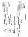Fig. 10 - Biofuel production by recombinant microorganisms